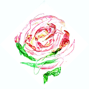 rose